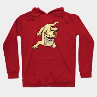 Grinning Gecko Hoodie